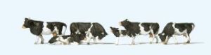 Vaches noires et blanches x6