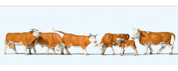 Vaches marrons et blanches x6