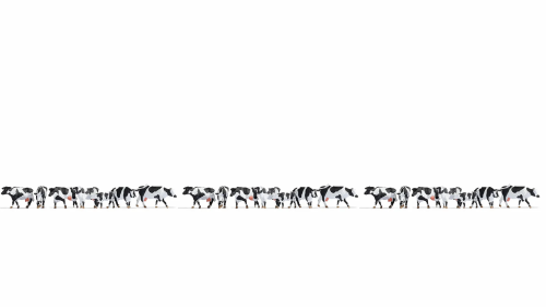 Coffret XL « Vaches noires et blanches »