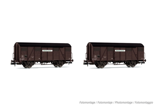 Coffret de 2 wagons fermés à 2 essieux Kv avec parois en bois livrée marron Provence Express ép.III (échelle N)