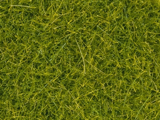 Flocage herbes vert clair